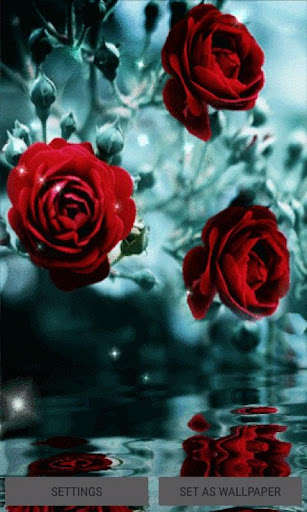 Run android online APK Red Roses Reflection LWP from MyAndroid or emulate Red Roses Reflection LWP using MyAndroid