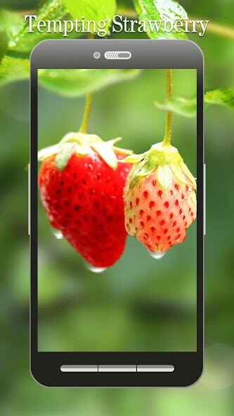 Run android online APK Red Strawberry Live Wallpaper from MyAndroid or emulate Red Strawberry Live Wallpaper using MyAndroid Run android online APK Red Strawberry Live Wallpaper from MyAndroid or emulate Red Strawberry Live Wallpaper using MyAndroid