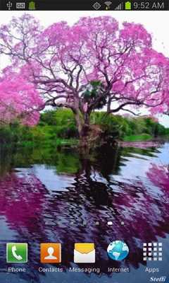 Emulate Android APK Reflective Pink Tree Live Wall Emulate Android APK Reflective Pink Tree Live Wall