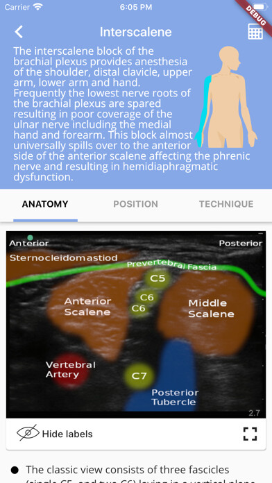Run android online APK Regional Anesthesia Reference from MyAndroid or emulate Regional Anesthesia Reference using MyAndroid Run android online APK Regional Anesthesia Reference from MyAndroid or emulate Regional Anesthesia Reference using MyAndroid