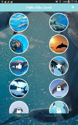 Emulate Android APK Relaxing Dolphin Sounds