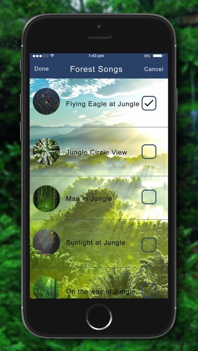 Emulate iPhone app Relaxing Nature - Forest Sounds using MyAndroid Emulate iPhone app Relaxing Nature - Forest Sounds using MyAndroid