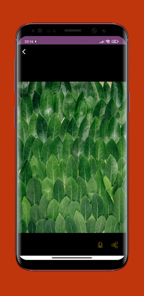 Run android online APK Relaxing sleep Music from MyAndroid or emulate Relaxing sleep Music using MyAndroid