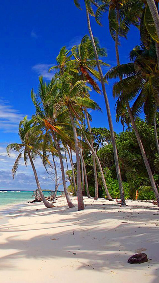 Emulate iPhone app Relax with Tranzotica FREE using MyAndroid Emulate iPhone app Relax with Tranzotica FREE using MyAndroid
