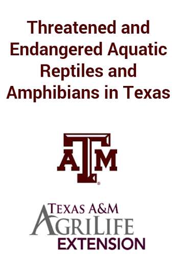 Run android online APK Reptiles & Amphibians of TX from MyAndroid or emulate Reptiles & Amphibians of TX using MyAndroid Run android online APK Reptiles & Amphibians of TX from MyAndroid or emulate Reptiles & Amphibians of TX using MyAndroid