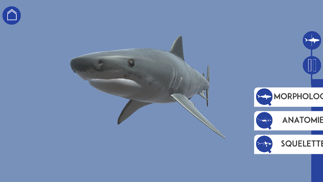 Run android online APK Requin 3D from MyAndroid or emulate Requin 3D using MyAndroid