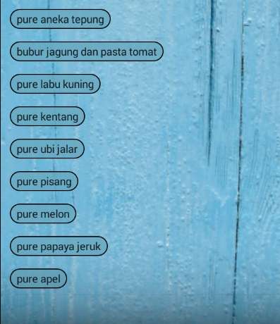 Emulate Android APK Resep MPASI Bayi