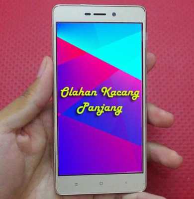 Emulate Android APK Resep Olahan Kacang Panjang