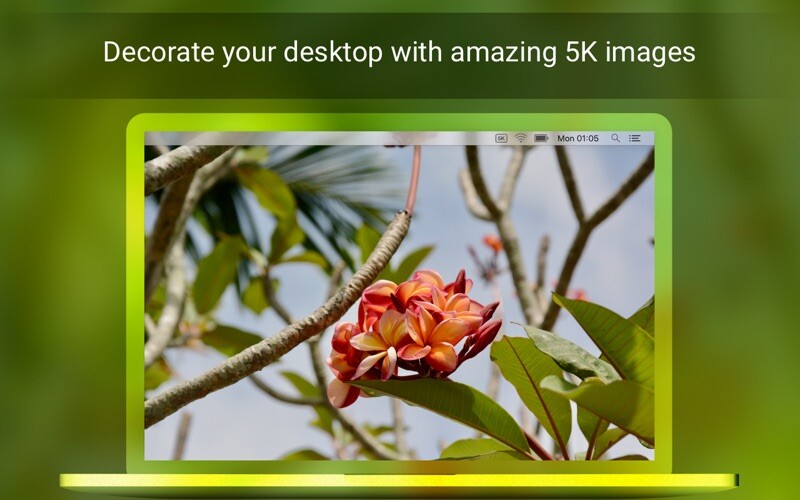 Emulate iPhone app Retina 5K Wallpaper Set using MyAndroid