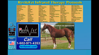 Emulate iPhone app Revitavet Infrared Therapy Protocols using MyAndroid Emulate iPhone app Revitavet Infrared Therapy Protocols using MyAndroid