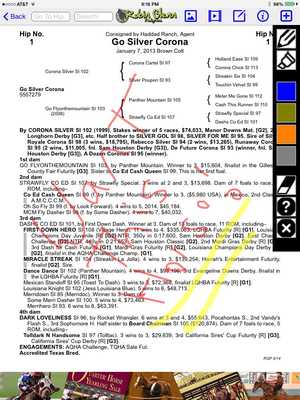 Emulate Android APK RGP Horse Sale Catalog Tablet