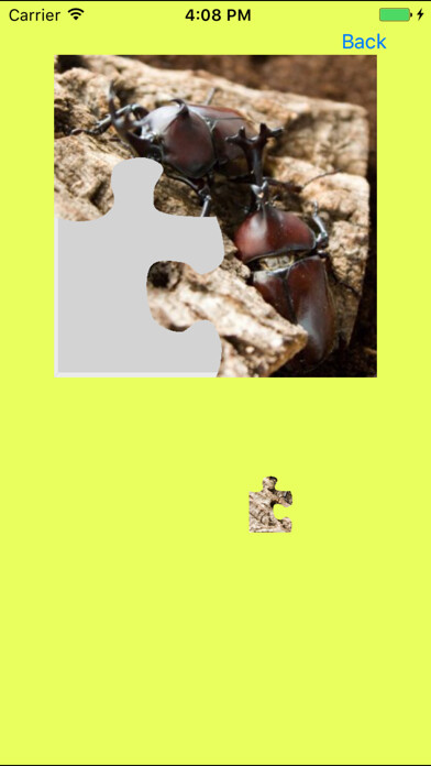 Emulate iPhone app Rhinoceros Beetle Jigsaw Puzzle using MyAndroid Emulate iPhone app Rhinoceros Beetle Jigsaw Puzzle using MyAndroid