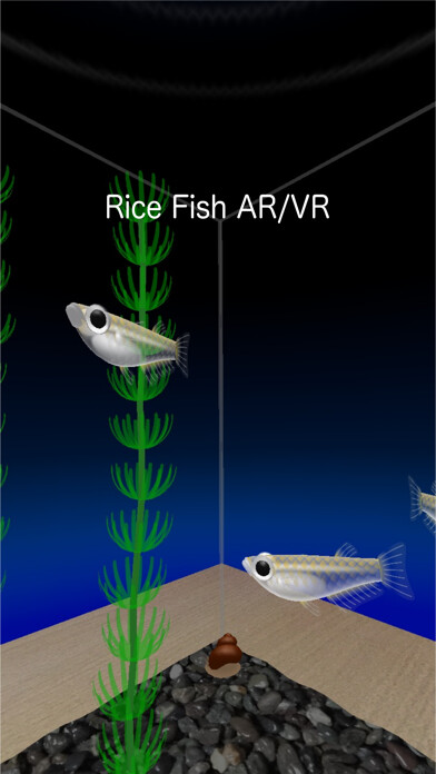 Emulate iPhone app Rice Fish AR/VR using MyAndroid