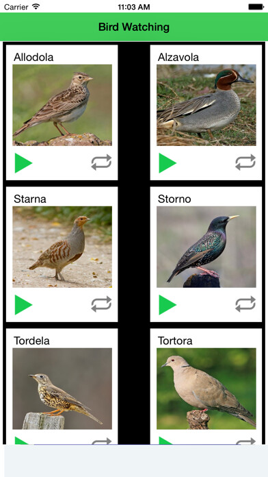 Emulate iPhone app Richiamo Uccelli Bird Watching using MyAndroid Emulate iPhone app Richiamo Uccelli Bird Watching using MyAndroid