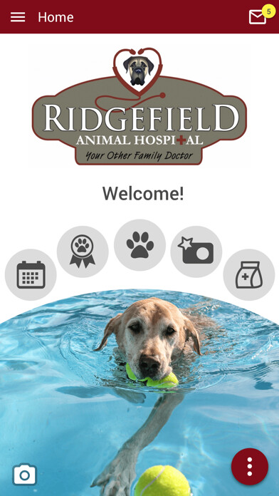 Emulate iPhone app Ridgefield Animal Hospital using MyAndroid