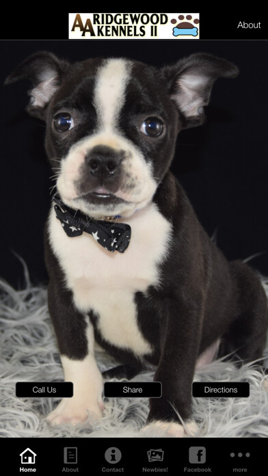 Emulate iPhone app Ridgewood Puppies using MyAndroid Emulate iPhone app Ridgewood Puppies using MyAndroid