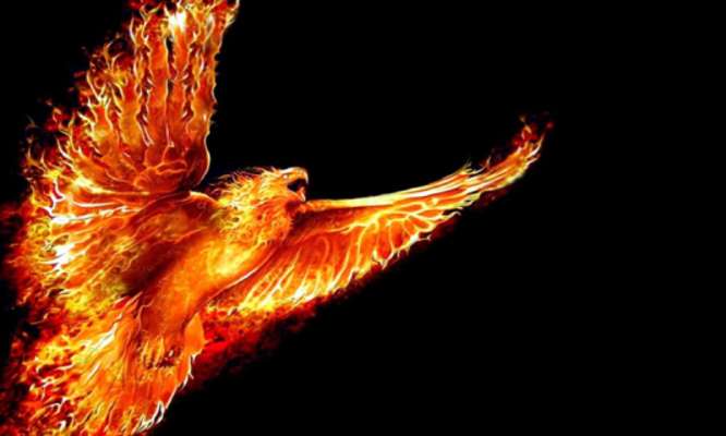 Emulate Android APK Rising phoenix wallpapers