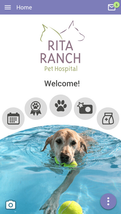 Emulate iPhone app Rita Ranch Pets using MyAndroid