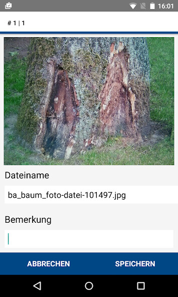 Run android online APK RIWA Baumkontrolle from MyAndroid or emulate RIWA Baumkontrolle using MyAndroid