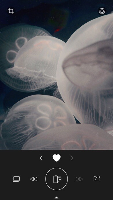 Emulate iPhone app RNI Colibri using MyAndroid Emulate iPhone app RNI Colibri using MyAndroid