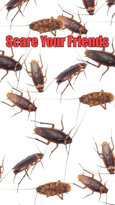 Emulate iPhone app Roach Scare Prank using MyAndroid Emulate iPhone app Roach Scare Prank using MyAndroid