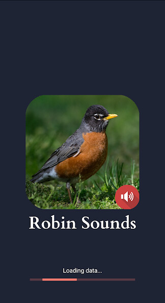 Run android online APK Robin Sounds from MyAndroid or emulate Robin Sounds using MyAndroid Run android online APK Robin Sounds from MyAndroid or emulate Robin Sounds using MyAndroid