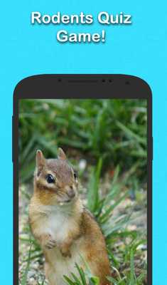 Emulate Android APK Rodent Trivia