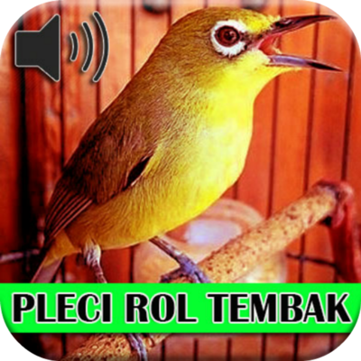 Emulate Android APK Roll Shoot Master Pleci