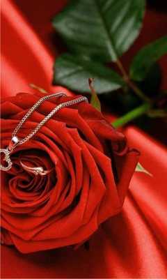 Emulate Android APK Romantic Rose live wallpaper