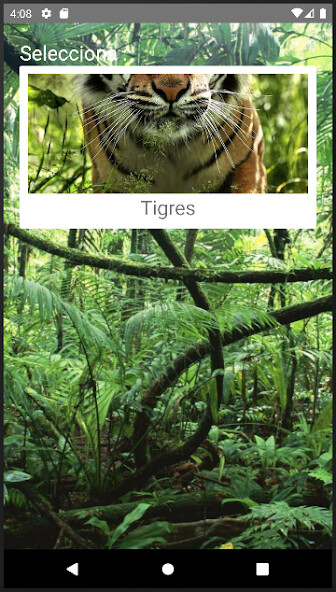 Run android online APK Rompecabezas de Tigres from MyAndroid or emulate Rompecabezas de Tigres using MyAndroid Run android online APK Rompecabezas de Tigres from MyAndroid or emulate Rompecabezas de Tigres using MyAndroid