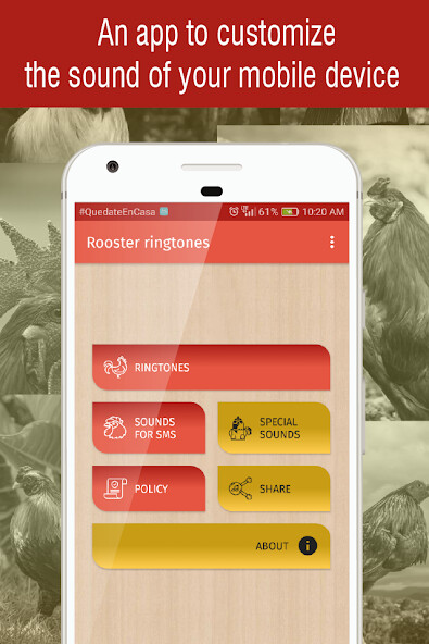 Run android online APK rooster ringtones for phone from MyAndroid or emulate rooster ringtones for phone using MyAndroid
