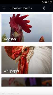 Emulate Android APK Rooster sounds and alarm