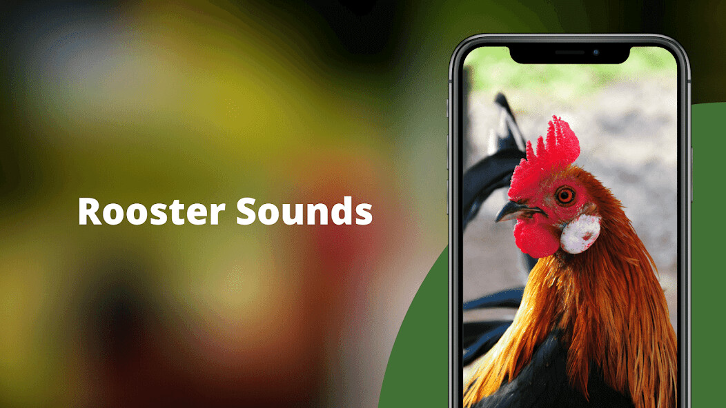 Run android online APK Rooster Sounds - Morning Alarm from MyAndroid or emulate Rooster Sounds - Morning Alarm using MyAndroid