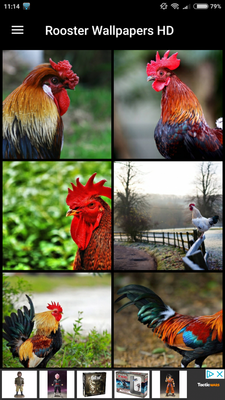 Emulate Android APK Rooster Wallpapers HD Emulate Android APK Rooster Wallpapers HD