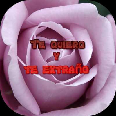 Emulate Android APK Rosas bonitas para ti Emulate Android APK Rosas bonitas para ti