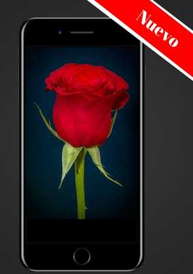 Emulate Android APK Rosas Gratis