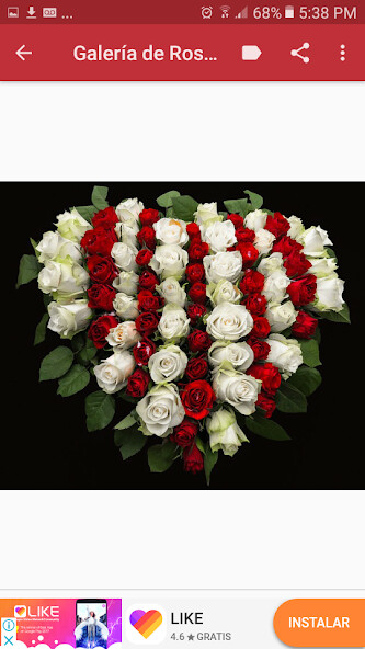 Run android online APK Rosas Rojas de Amor from MyAndroid or emulate Rosas Rojas de Amor using MyAndroid Run android online APK Rosas Rojas de Amor from MyAndroid or emulate Rosas Rojas de Amor using MyAndroid