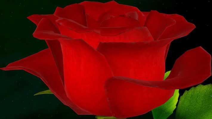 Emulate Android APK Rose Flower 3D Emulate Android APK Rose Flower 3D