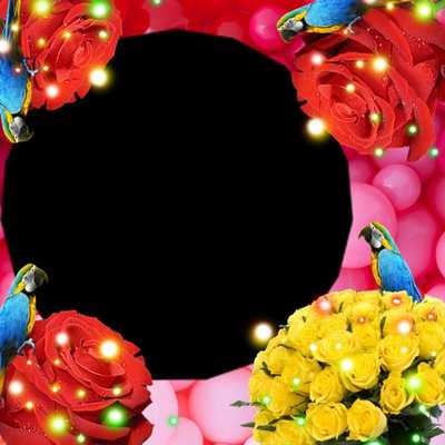 Emulate Android APK Rose Insta DP