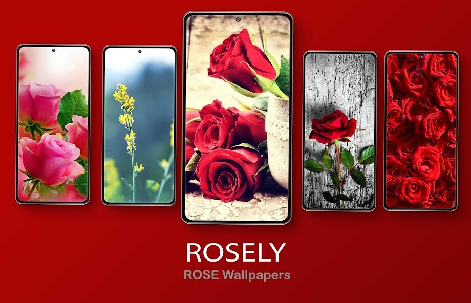 Run android online APK Rosely- Rose Flower wallpapers from MyAndroid or emulate Rosely- Rose Flower wallpapers using MyAndroid