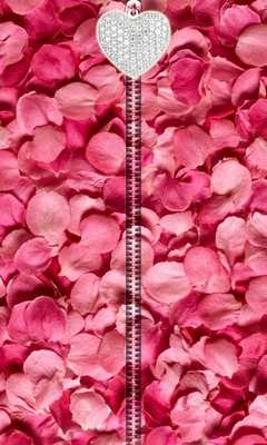 Emulate Android APK Rose Petals Zipper UnLock