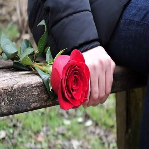 Run android online APK Roses 2021 from MyAndroid or emulate Roses 2021 using MyAndroid