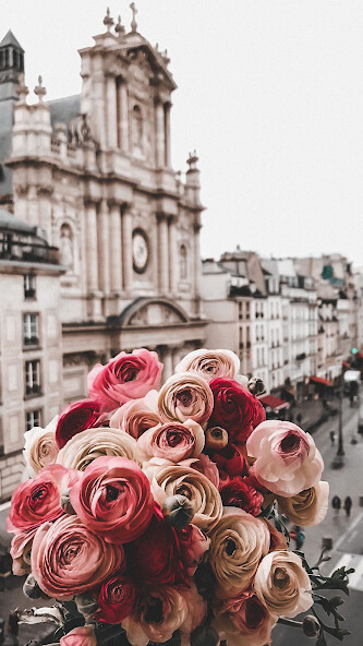 Run android online APK Roses images GIFs - Flowers HD from MyAndroid or emulate Roses images GIFs - Flowers HD using MyAndroid