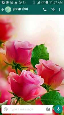 Emulate Android APK Roses Wallpapers for Chat Emulate Android APK Roses Wallpapers for Chat