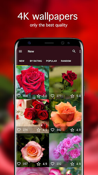 Run android online APK Rose Wallpapers PRO from MyAndroid or emulate Rose Wallpapers PRO using MyAndroid Run android online APK Rose Wallpapers PRO from MyAndroid or emulate Rose Wallpapers PRO using MyAndroid