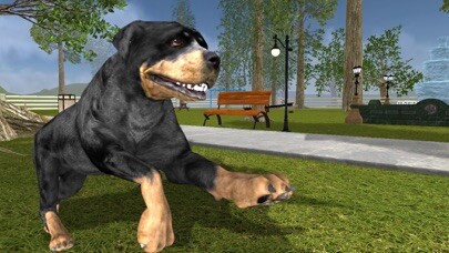 Emulate iPhone app Rottweiler Dog Life Simulator using MyAndroid