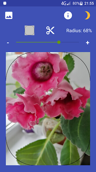 Run android online APK Rounding picture corners from MyAndroid or emulate Rounding picture corners using MyAndroid Run android online APK Rounding picture corners from MyAndroid or emulate Rounding picture corners using MyAndroid