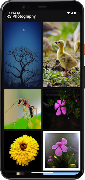 Run android online APK RS  Photography  Wallpaper from MyAndroid or emulate RS  Photography  Wallpaper using MyAndroid