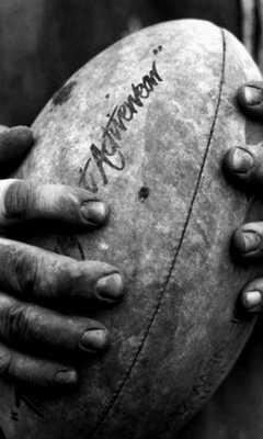 Emulate Android APK Rugby New Wallpapers Themes Emulate Android APK Rugby New Wallpapers Themes