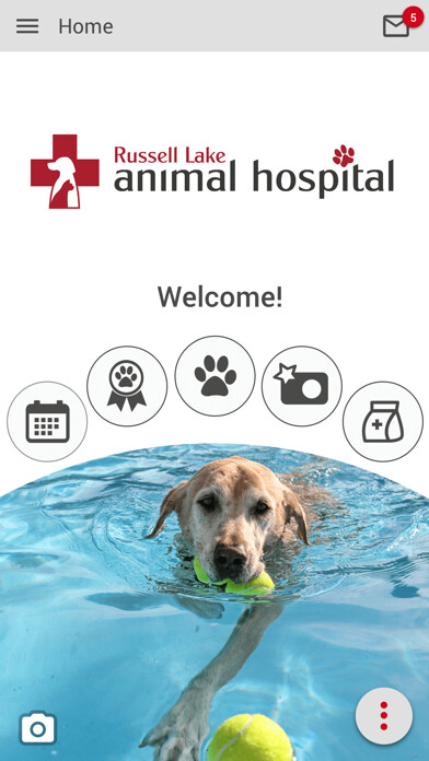 Emulate iPhone app Russell Lake Vet using MyAndroid